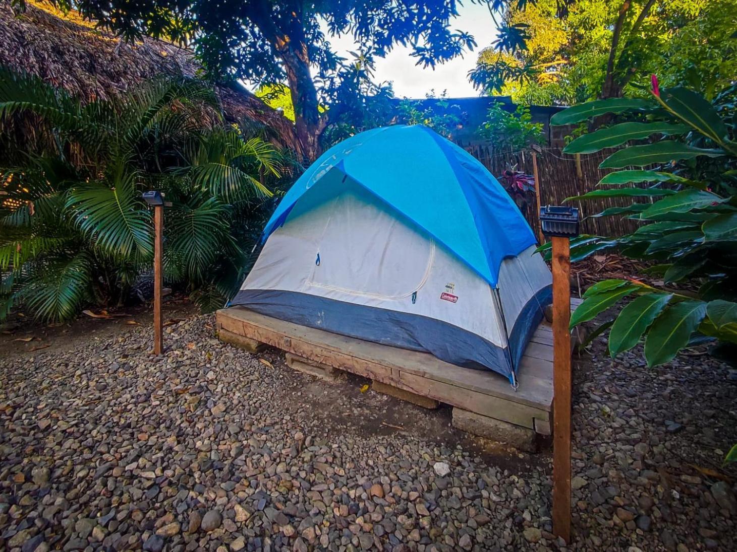 Hostal Palomino Ecohouse & Camping Εξωτερικό φωτογραφία