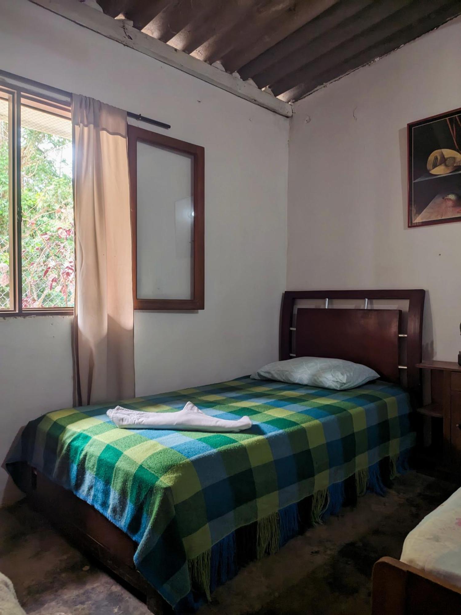 Hostal Palomino Ecohouse & Camping Εξωτερικό φωτογραφία